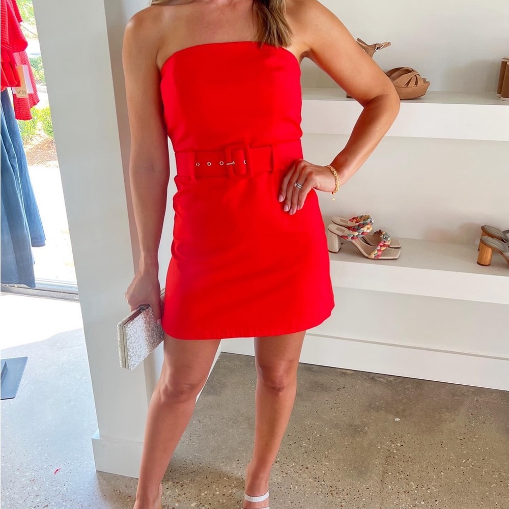 Lavender Brown Red Belted Dress